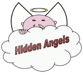 Image for Hidden Angels