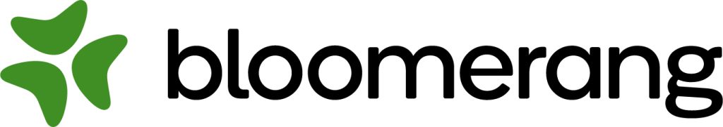 bloomerang logo