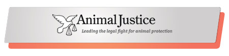 Animal Justice effectively launched and executed a capital campaign.