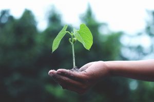 3 Peer-to-Peer Event Ideas for Environmental Nonprofits