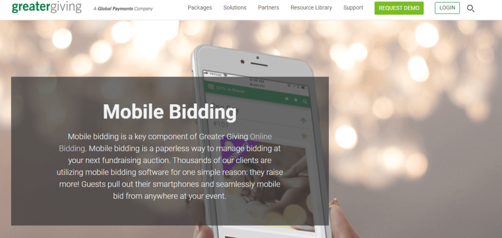 Screenshot of the Greater Giving mobile bidding information page